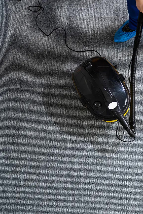 Carpet before professional cleaning