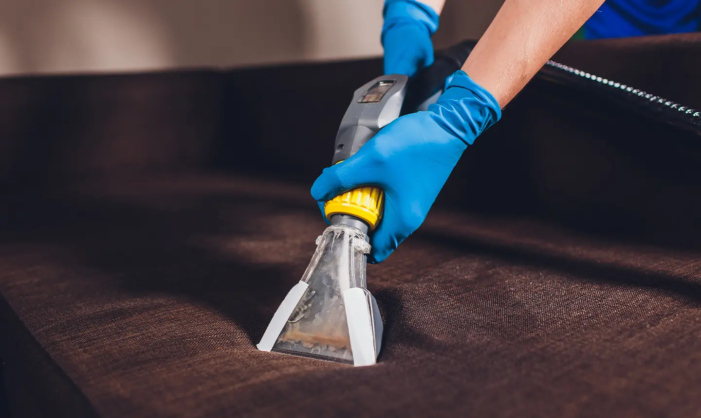 Professional upholstery extraction cleaning in progress